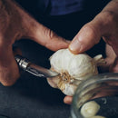 Opinel N°07 Chestnut Garlic Klapptaschenmesser, 12C27 Klinge, Walnussgriff