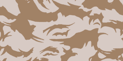 DPM Desert | British Disruptive Pattern Material Gear