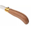 Antonini Old Bear Klappmesser, 9,5 cm, Griff aus Edelstahl, Walnussholz