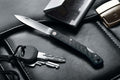Fox Knives Brand Italy Klappmesser aus Edelstahl 440C, Griff aus Kohlefaser