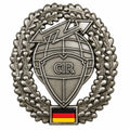 Original Bundeswehr-Baskenmützenabzeichen CIR Insignia Military Surplus Metal Pin